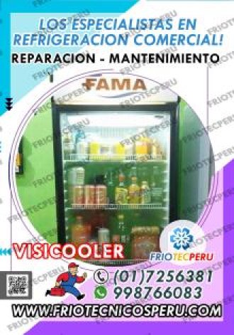 Visicoolers en problemas Soluciones extraordinarias 998766083